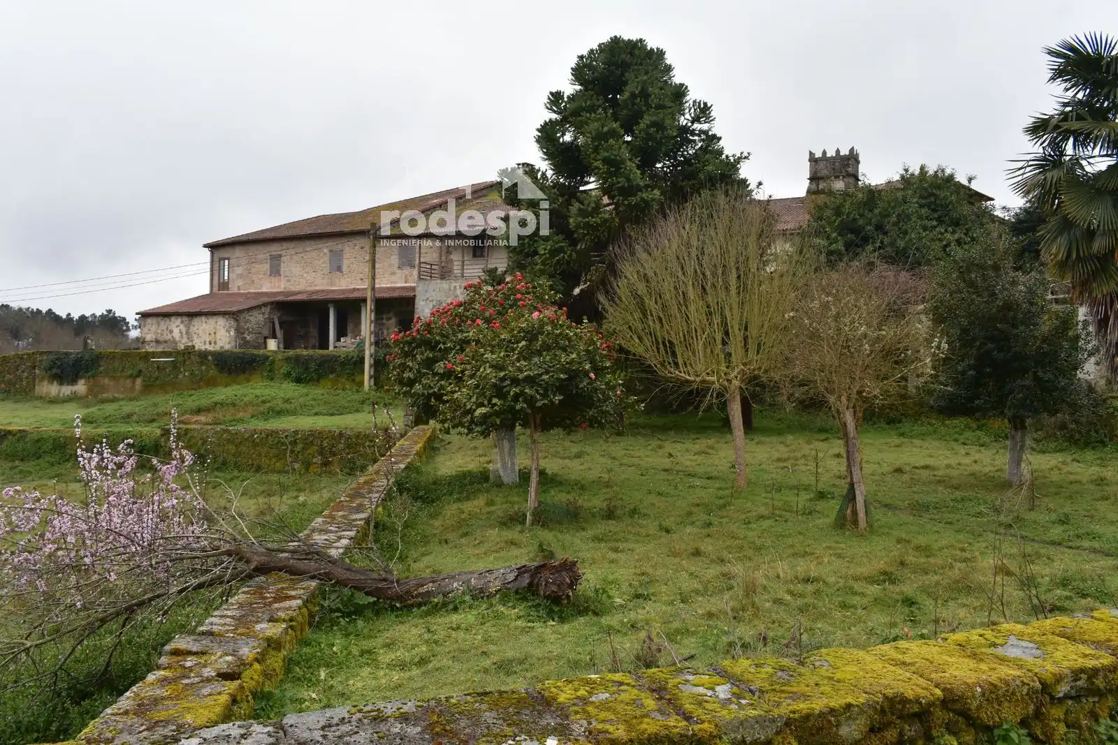 Buildings for sale in Pantón