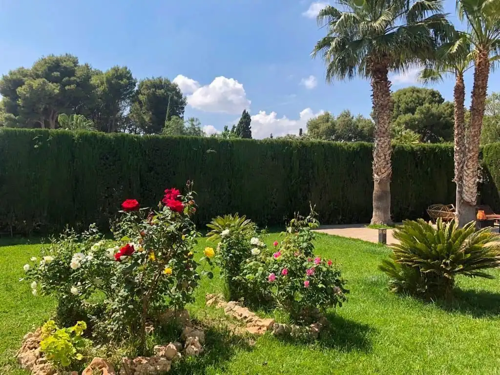 Jardín de Casa o chalet en venta en Elda con Aire acondicionado, Calefacción y Jardín privado