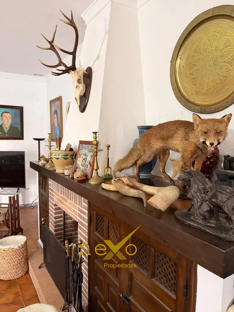 Chalet con terraza en venta en Carmona, imagen 5