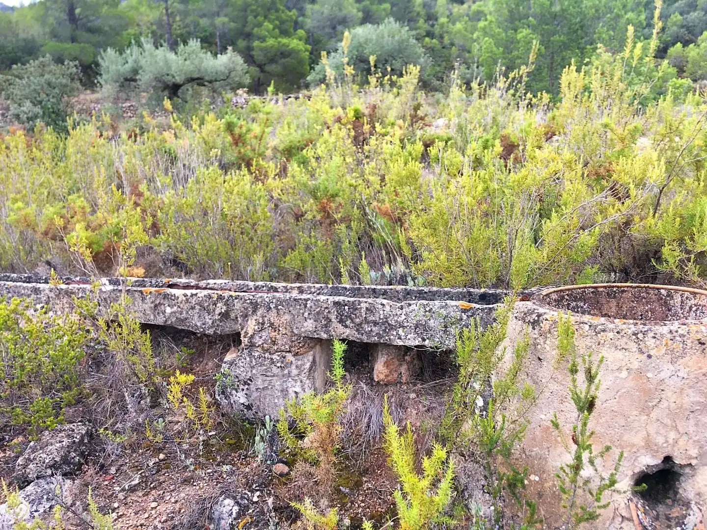 Finca rústica en venda en Benifallet