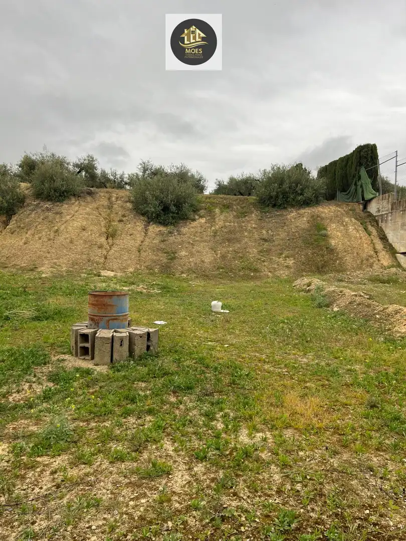 Terreni e lotti in vendita a Torredonjimeno, imagen 2