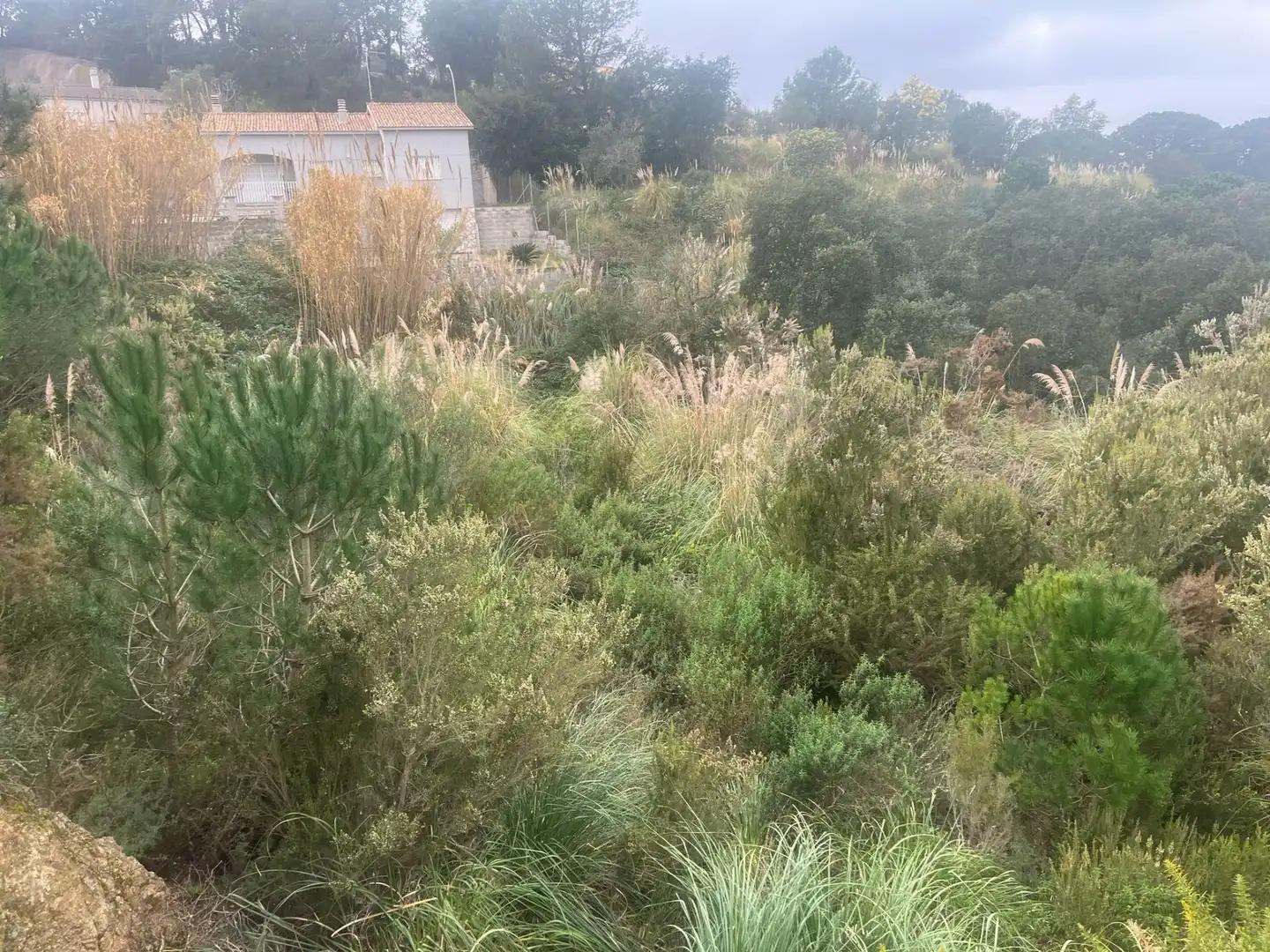 Wohnbaugrundstück zum Verkauf in Lloret Residencial - Montlloret, imagen 4