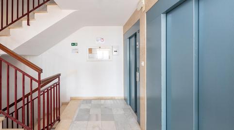 Foto 5 de Piso de alquiler en Paseo Reina Sofia, Velilla - Velilla Taramay, Almuñécar