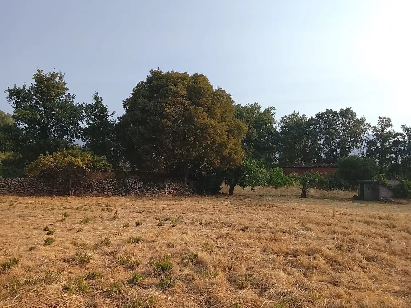 Terreni e lotti in vendita a Villanueva de la Vera, imagen 6