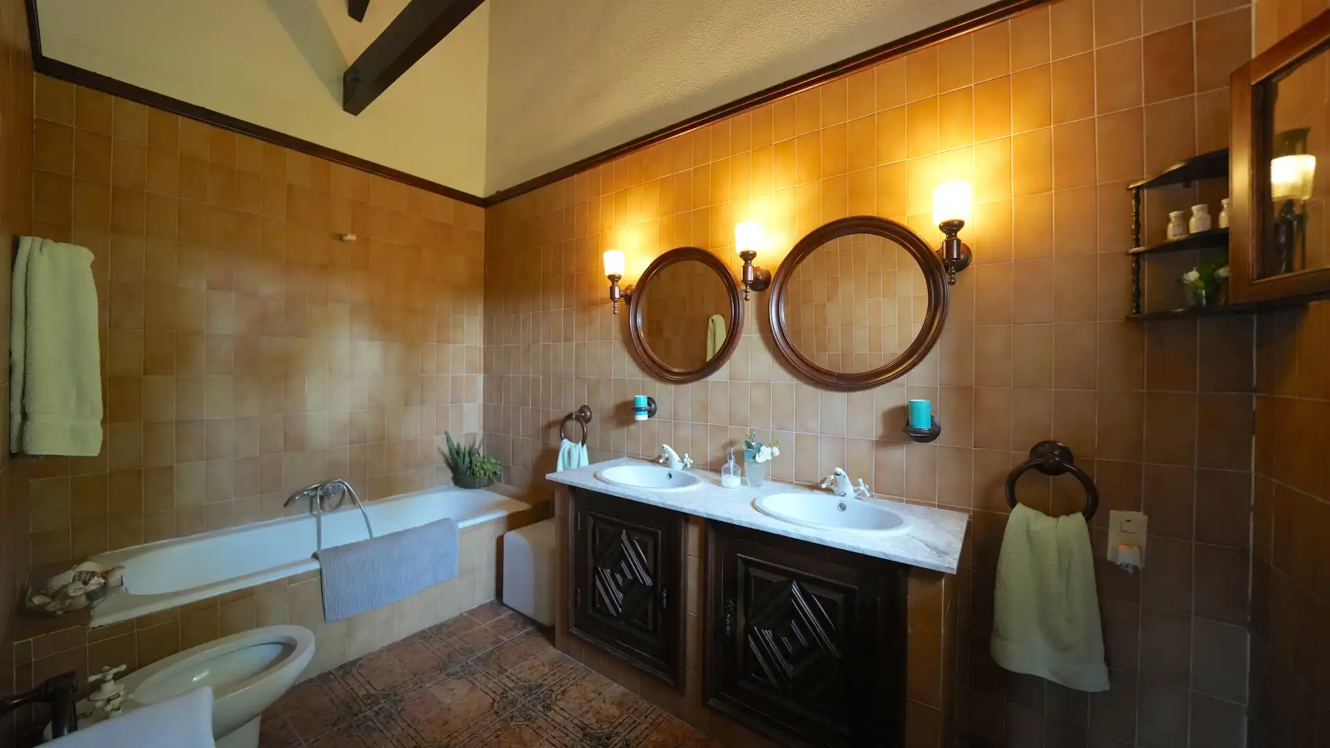 Baño de Finca rústica en venta en Centro