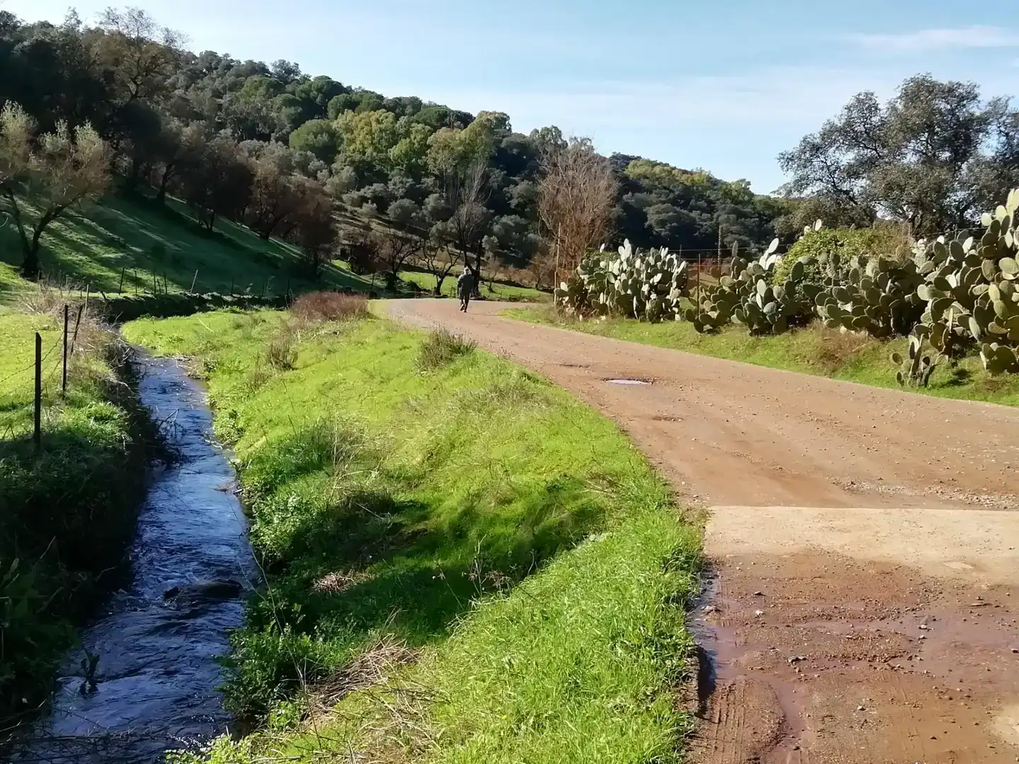 Vista exterior de Terreno en venta en Cumbres Mayores, Huelva