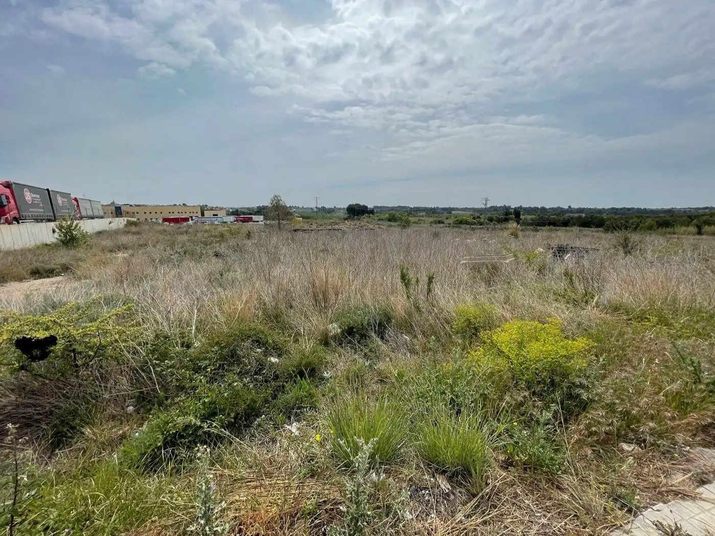 Industrial land for sale in Puigpelat