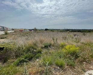 Industrial land for sale in Puigpelat