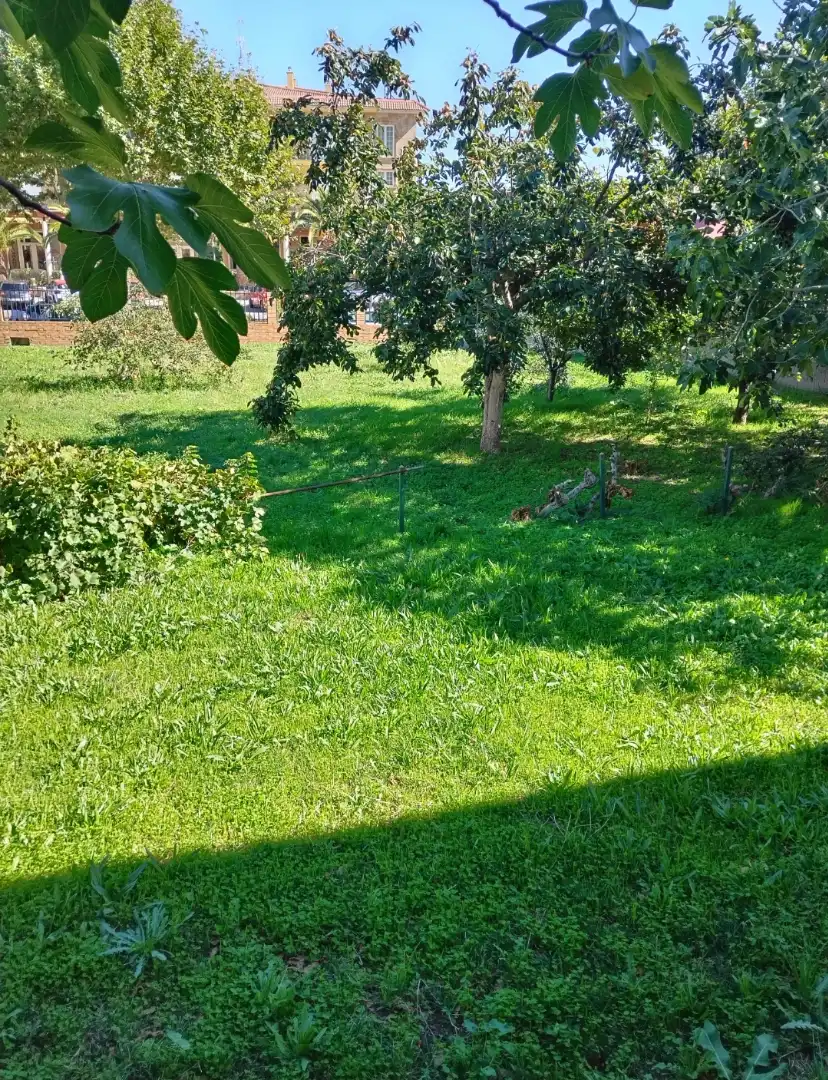 Casa o chalet en venta en Paseo de Recoletos, 32, El Tiemblo