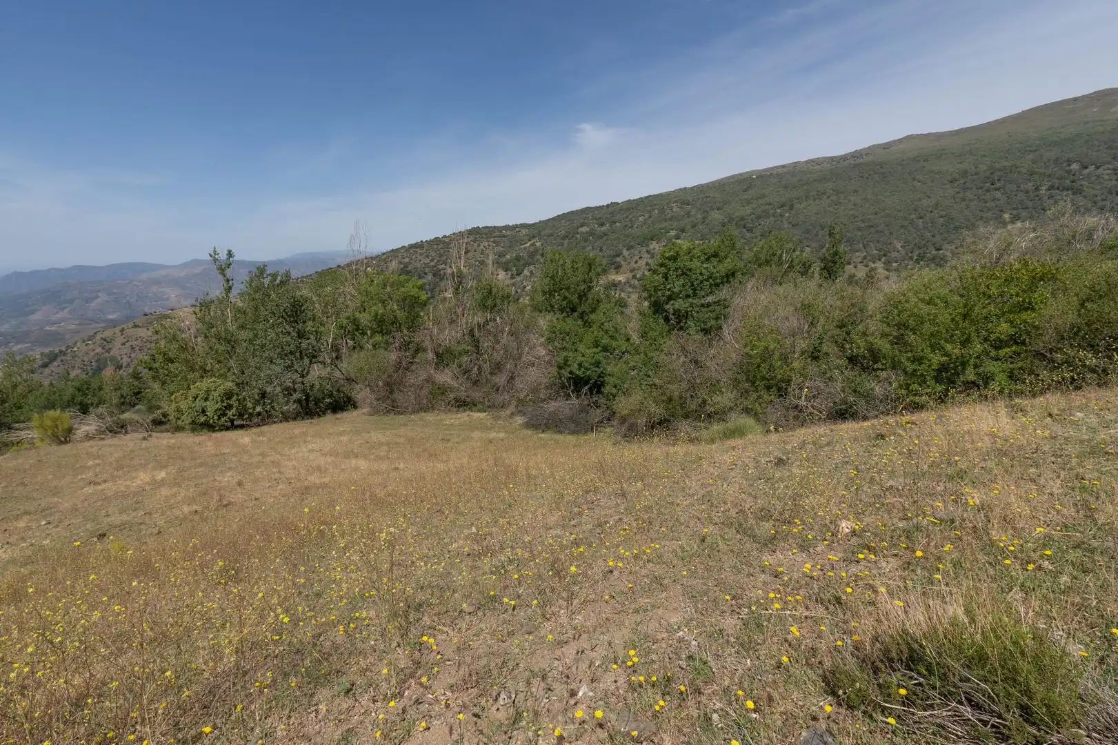 Terreno en venta en Soportújar