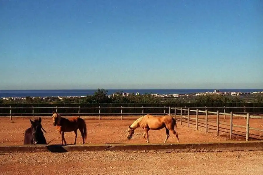 Vista exterior de Finca rústica en venta en El Vendrell con Aire acondicionado, Terraza y Trastero