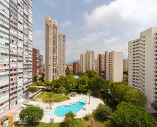 Vista exterior de Apartament en venda en Benidorm amb Piscina