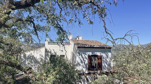 Foto 4 de Finca rústica en venda a Comares, Málaga