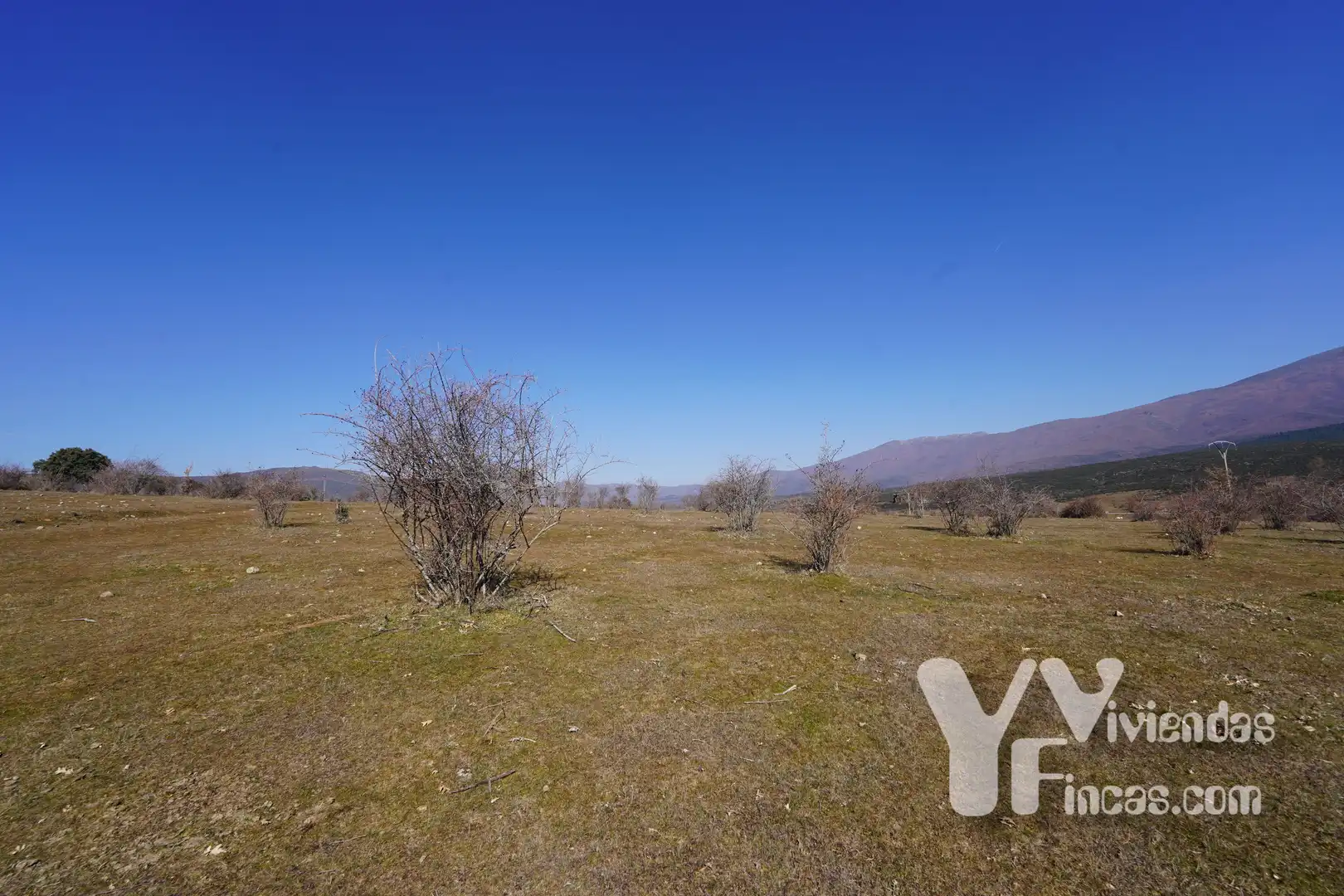 Terreno rústico en venta en Campillo de Ranas, imagen 2
