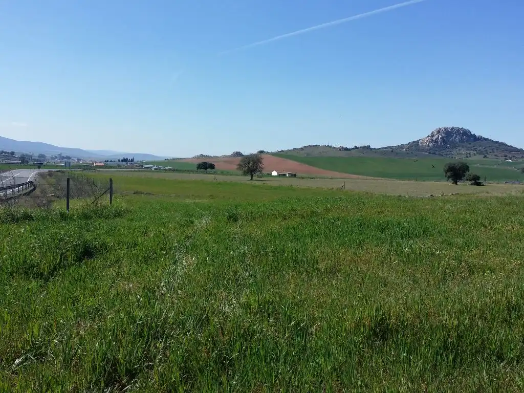 Landhaus mit Garten zum Verkauf in Peñarroya-Pueblonuevo, imagen 4