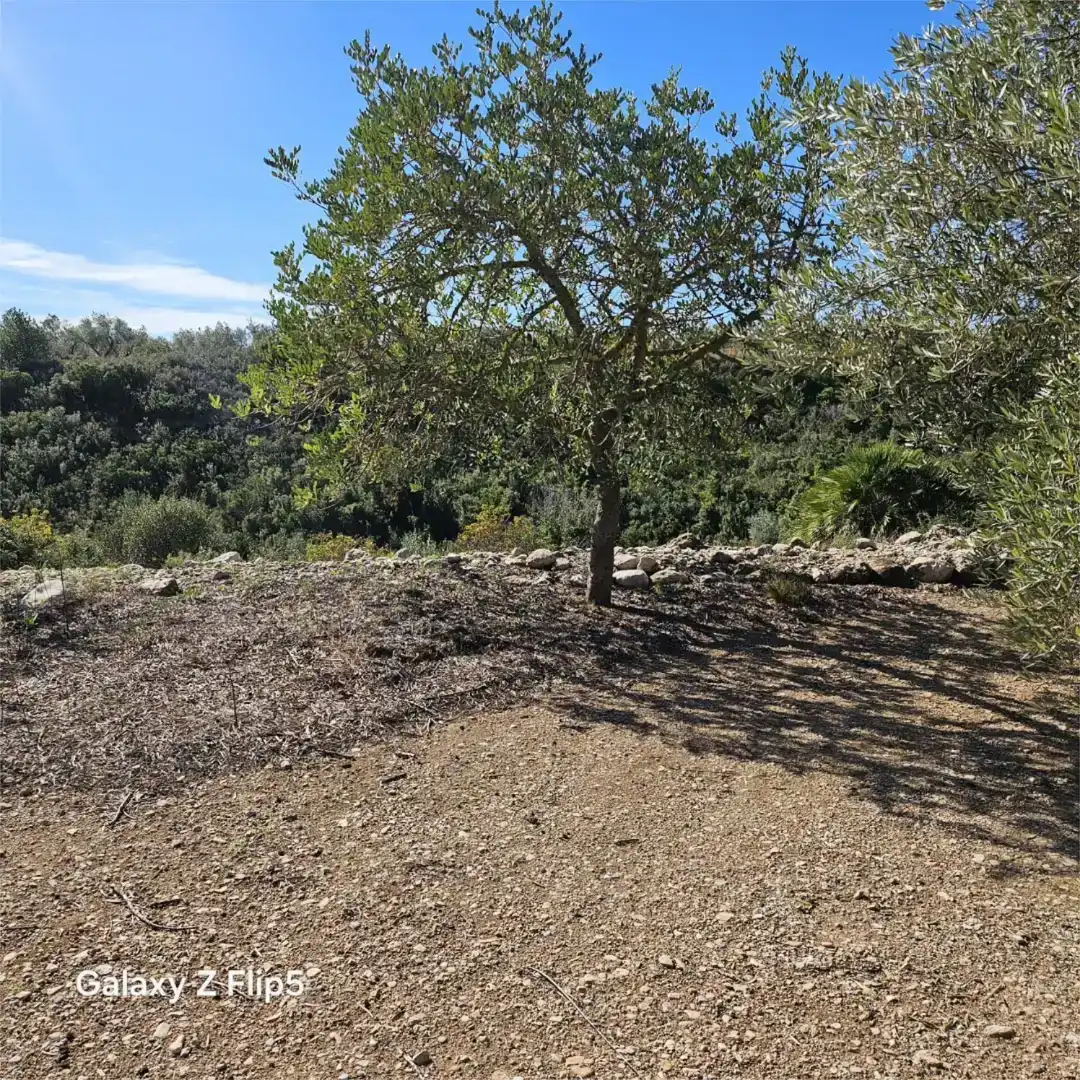 Grundstücke zum Verkauf in La Galera , Tarragona