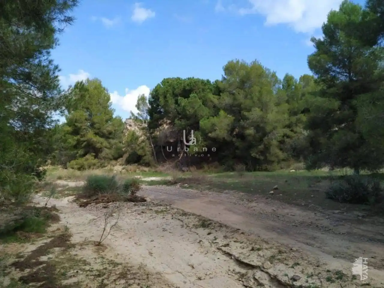 Terreny rústic en venda a Avenida   Sangonera la Verde, imagen 4