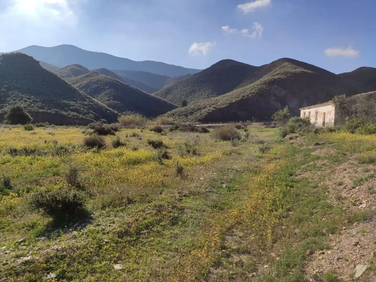 Country homes for sale in Ramonete