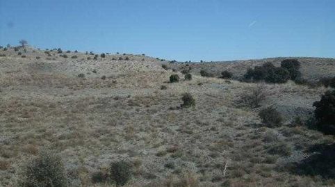VELEZ-RUBIO (Almería). Paraje "Campillo-Lizarán"., immagine 3