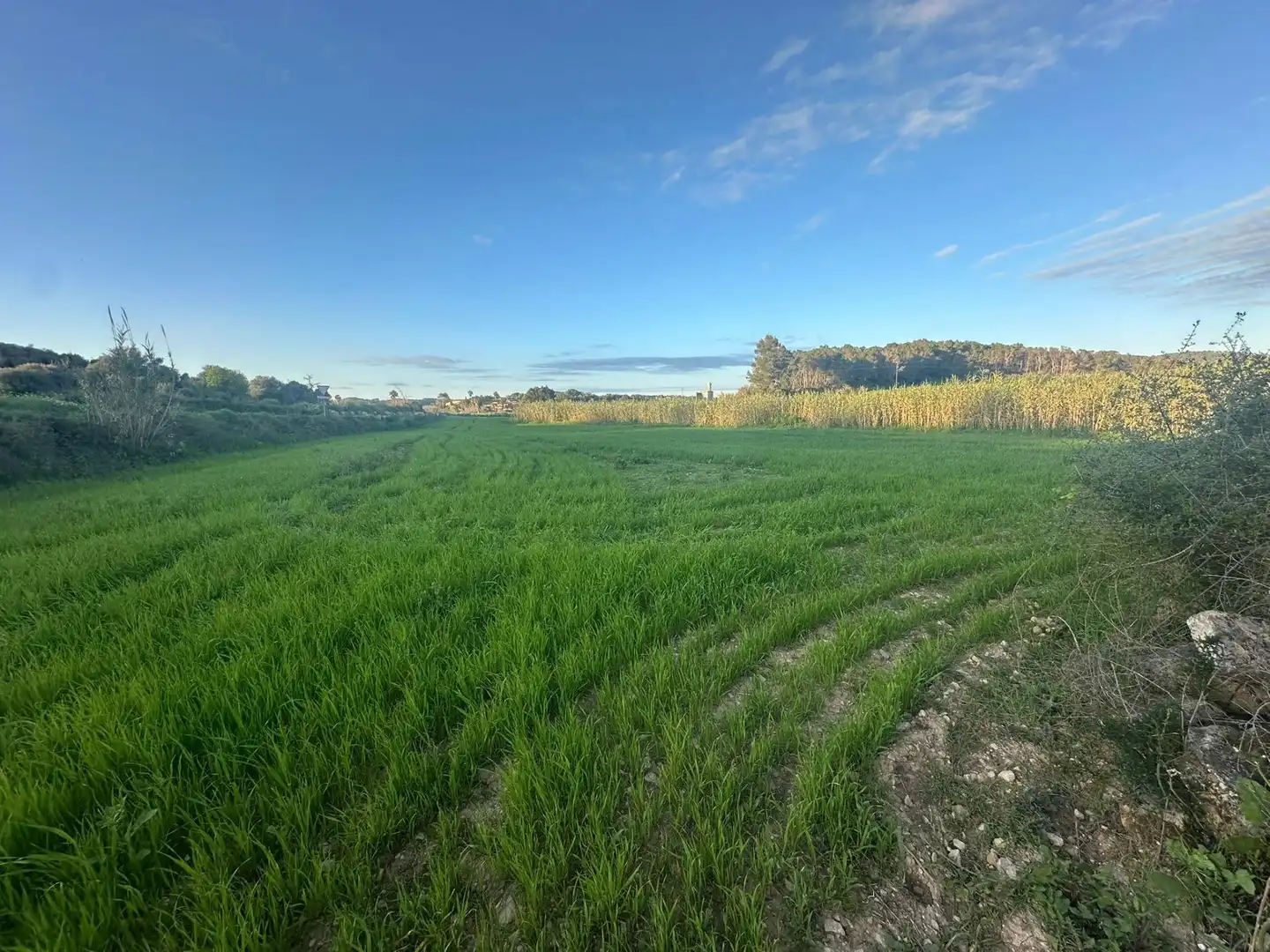 Terrain rustique à vendre à Sant Joan, imagen 8