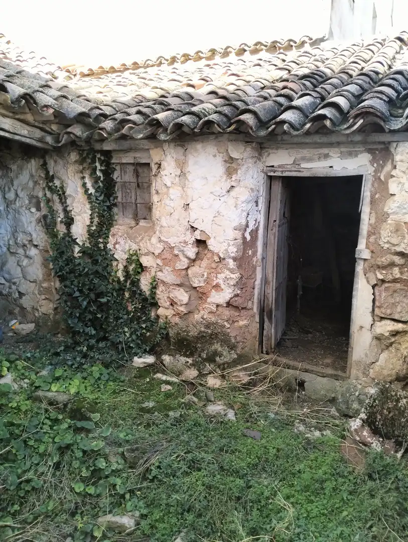Exterior view of Houses for sale in El Bonillo  with Private garden and Storage room
