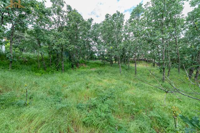 Terreno residencial en Venta en Navahondilla