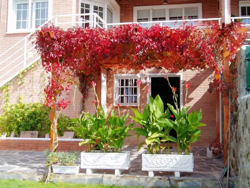 Terrace of Houses for sale in Los Molinos  with Heating, Private garden and Storage room