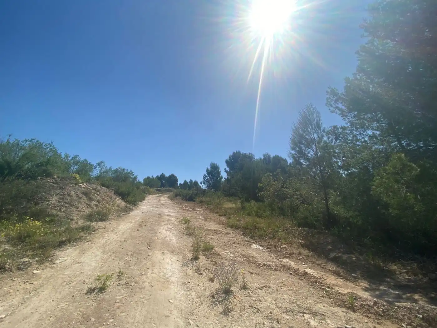 Terreno rustico in vendita a POLÍGONO 10 PARCELA 493, imagen 13