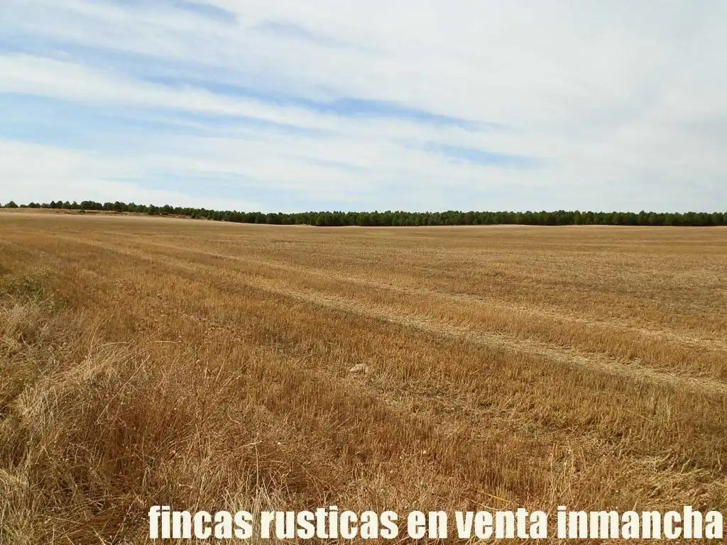 Terreni e lotti in vendita a San Pablo, imagen 3