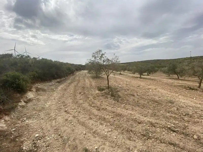 Casa rústica en venda a Padul, imagen 8
