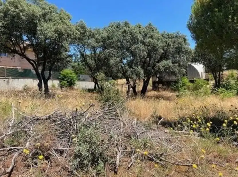 Residential for sale in El Escorial