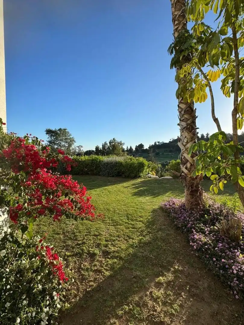Jardí de Planta baixa de lloguer en Estepona amb Aire condicionat, Jardí privat i Terrassa