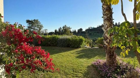 Foto 4 de Planta baixa de lloguer a Nueva Atalaya, Estepona