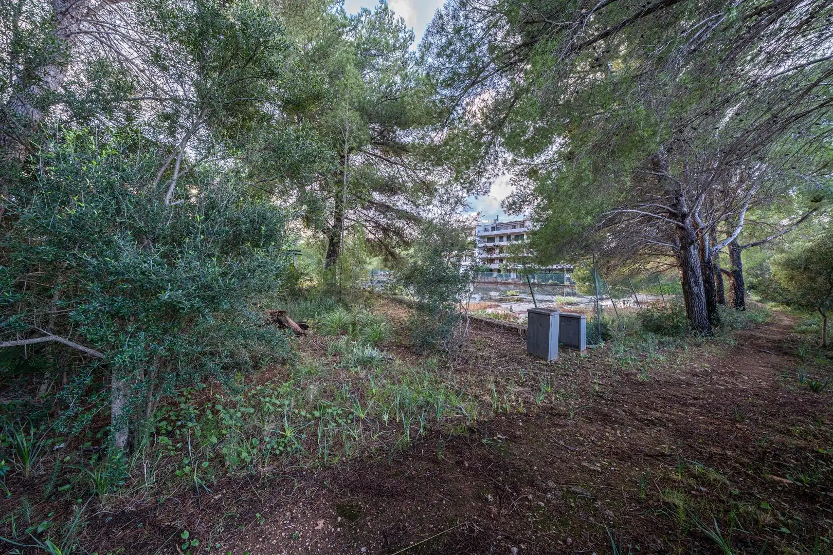 Terreny rústic en venda a Colònia de Sant Pere, imagen 12