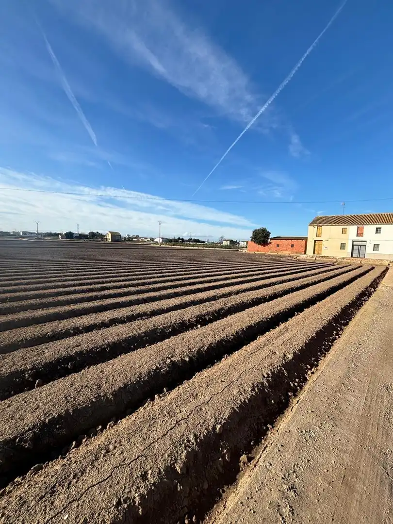 Country house zum Verkauf in Alboraya mit Terrasse