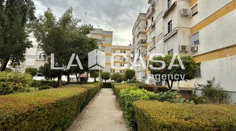 Foto 3 de Piso en venta en Cruz Roja,  Sevilla Capital