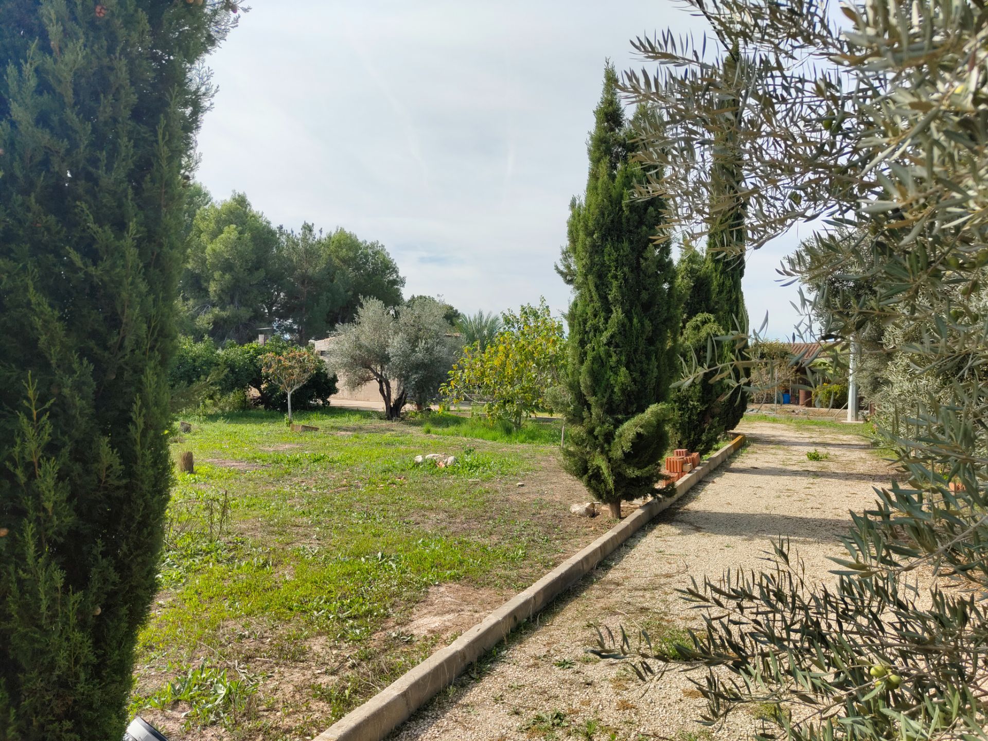 Finca rústica en venda en Las Torres de Cotillas amb Jardí privat