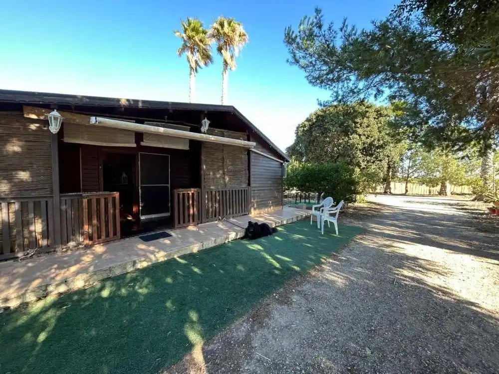 Exterior view of Houses for sale in La Murada - Los Vicentes