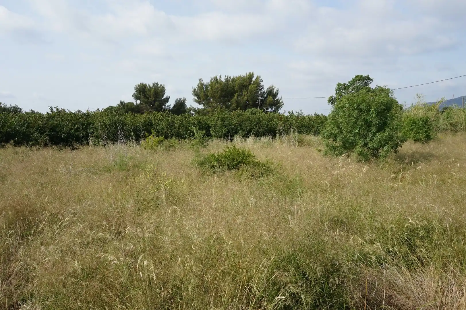Maison rustique à vendre à Les Borges del Camp, imagen 4