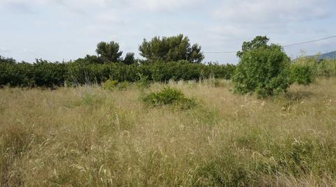 Photo 4 of Country house for sale in Extrarradio Sra. de Gener, Les Borges del Camp, Tarragona