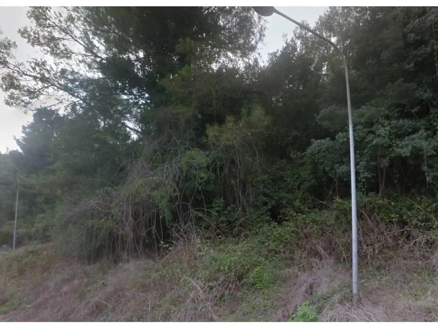 Terreno rustico in vendita a Calle de les Rutxel les 128, imagen 4