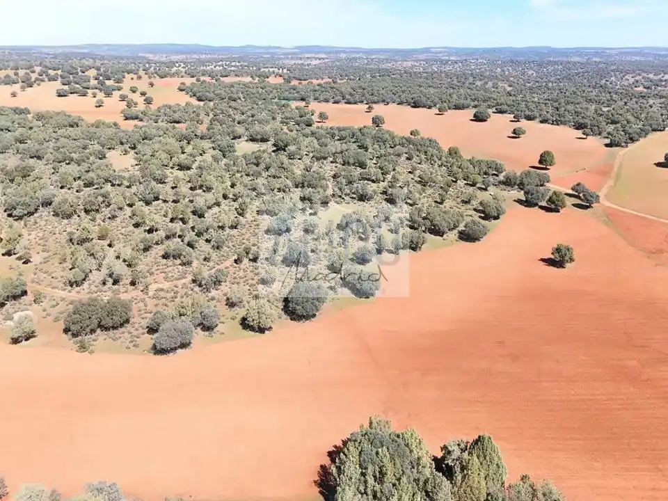 Lands and plots for sale in Alhambra, imagen 4