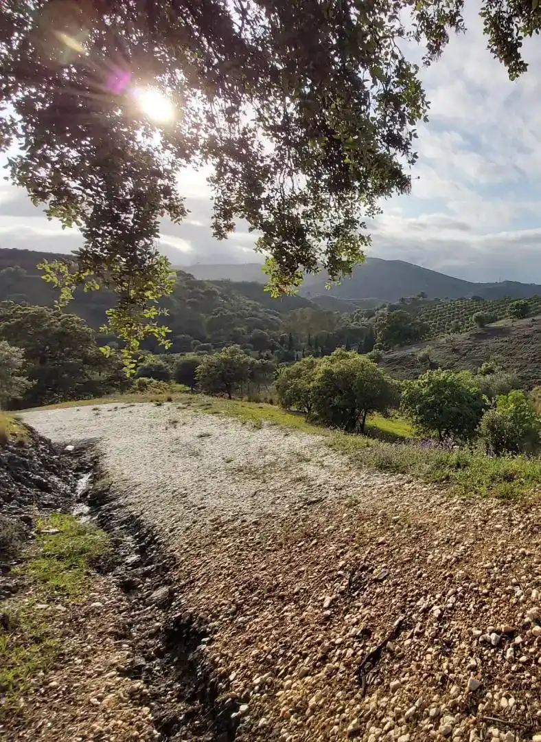 Finca rústica en venda a Lugar Partido Cuesta Blanquilla, 2, Coín