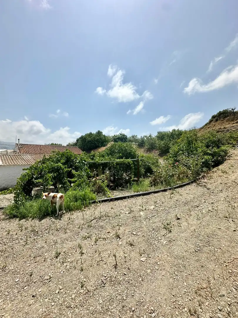 Country homes for sale in Benamocarra  with Private garden, Storage room and Swimming Pool