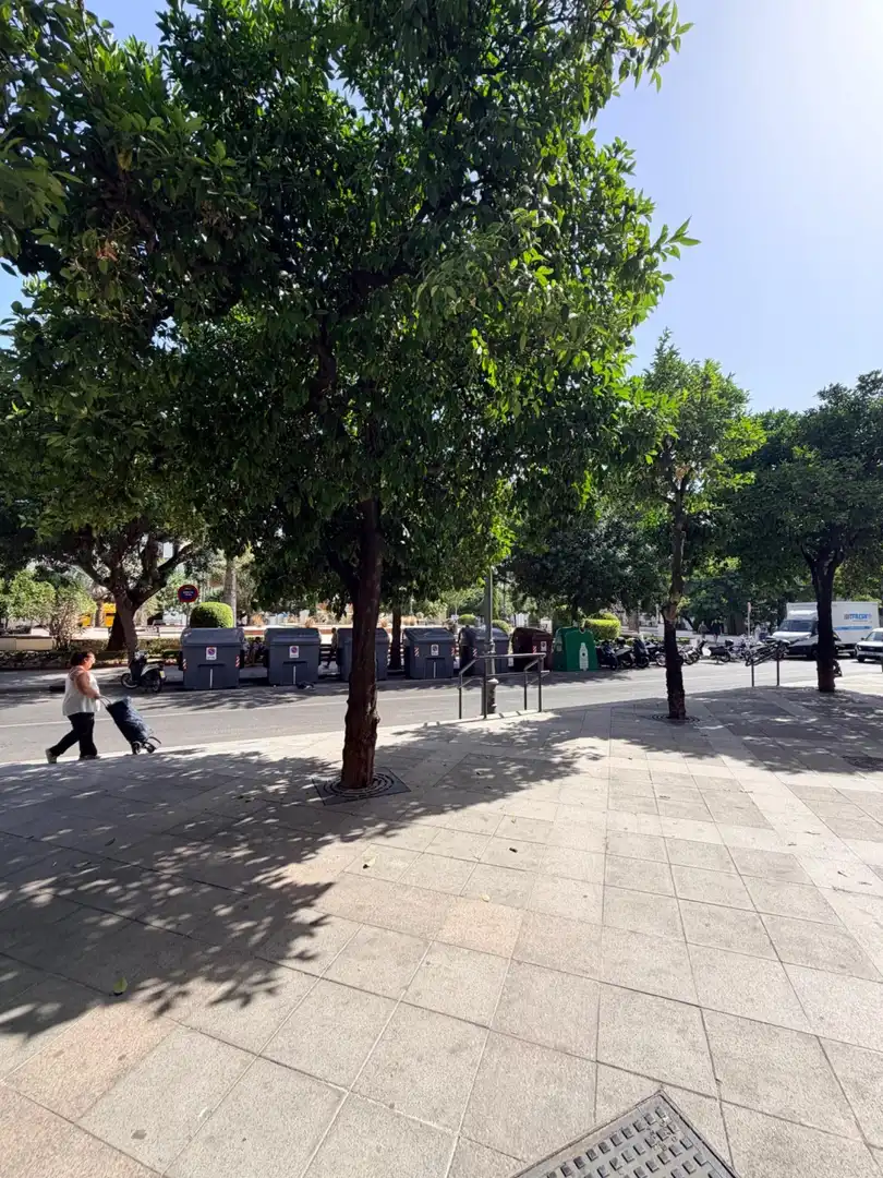 Business premises for sale in Plaza LAS ANGUSTIAS, imagen 11
