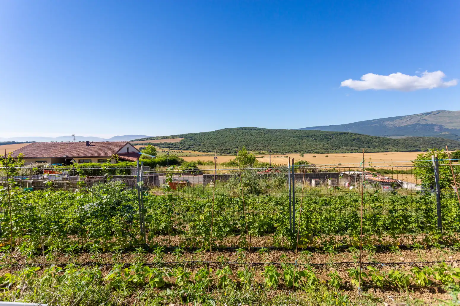 Wohnbaugrundstück zum Verkauf in Ochovi - San Juan 42, imagen 5