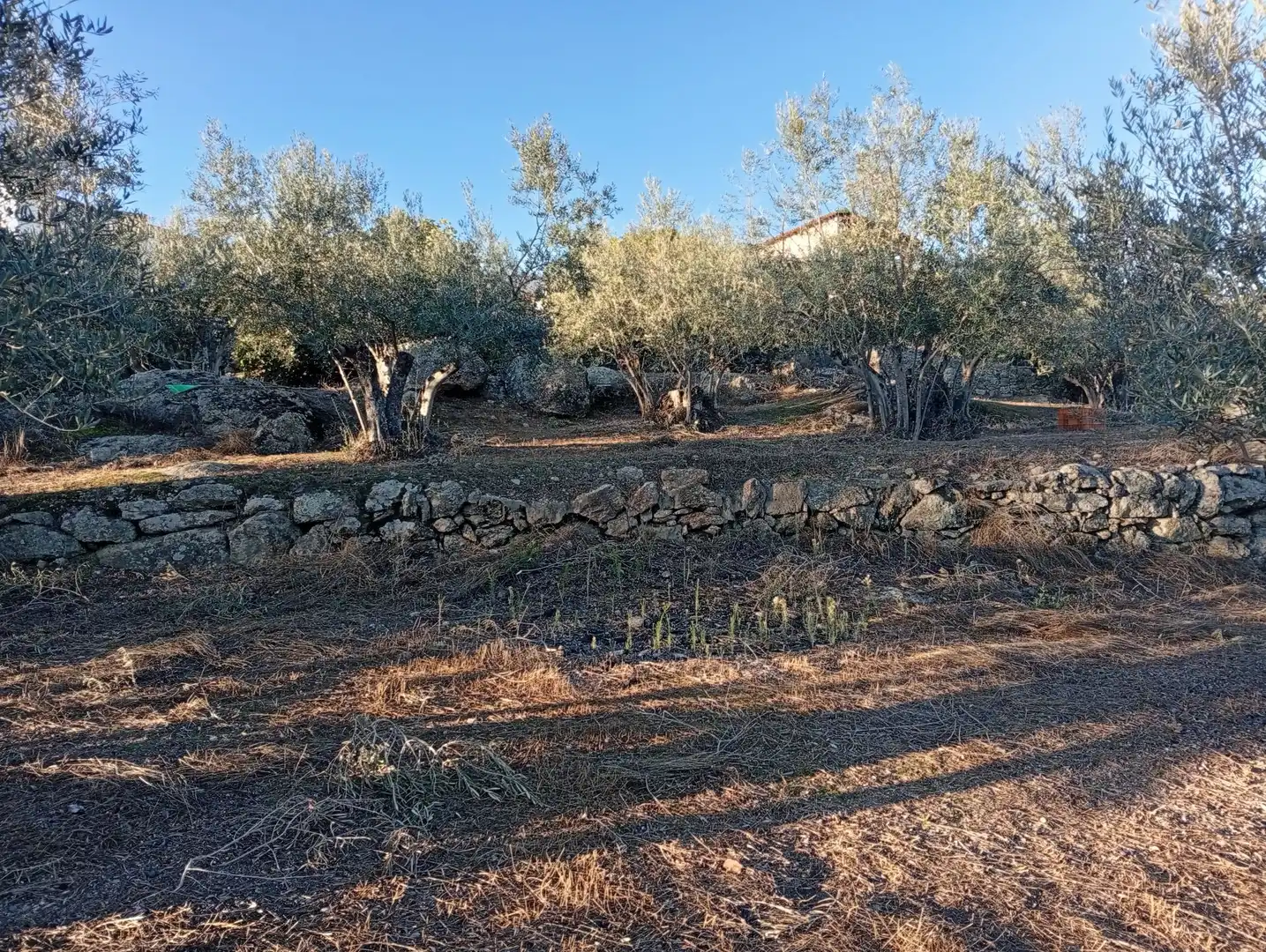 Terreni e lotti in vendita a Villanueva de la Vera, imagen 49