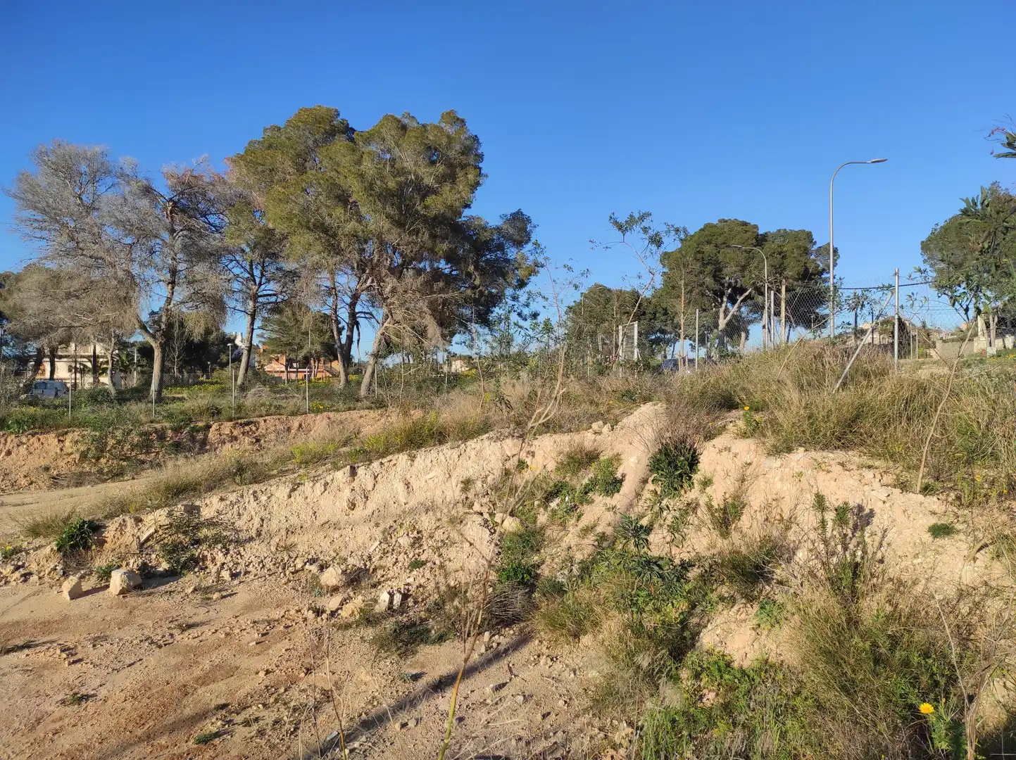Terreno residencial en venta en Platja de Palma, imagen 11