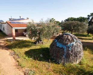 Vista exterior de Finca rústica en venda en Montijo