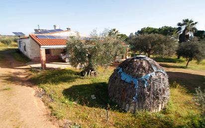 Vista exterior de Finca rústica en venda en Montijo